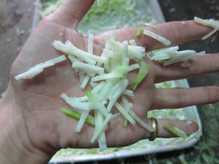 Cucumber Cutter - DH903-502-1. Cucumber Shreds