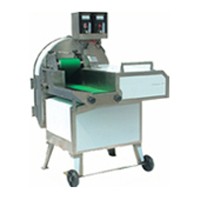 Vegetable Cutter